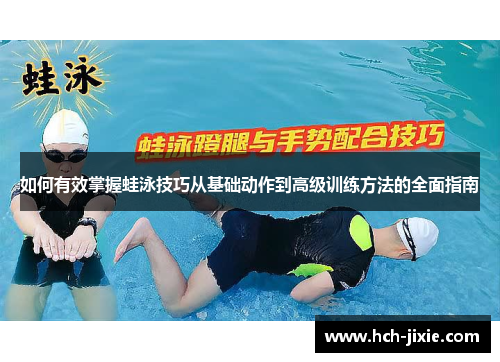 如何有效掌握蛙泳技巧从基础动作到高级训练方法的全面指南