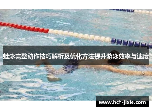 蛙泳完整动作技巧解析及优化方法提升游泳效率与速度