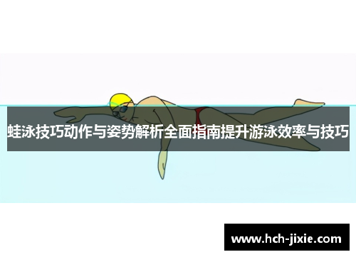 蛙泳技巧动作与姿势解析全面指南提升游泳效率与技巧