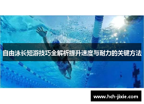 自由泳长短游技巧全解析提升速度与耐力的关键方法